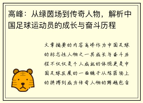 高峰：从绿茵场到传奇人物，解析中国足球运动员的成长与奋斗历程