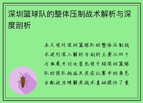 深圳篮球队的整体压制战术解析与深度剖析